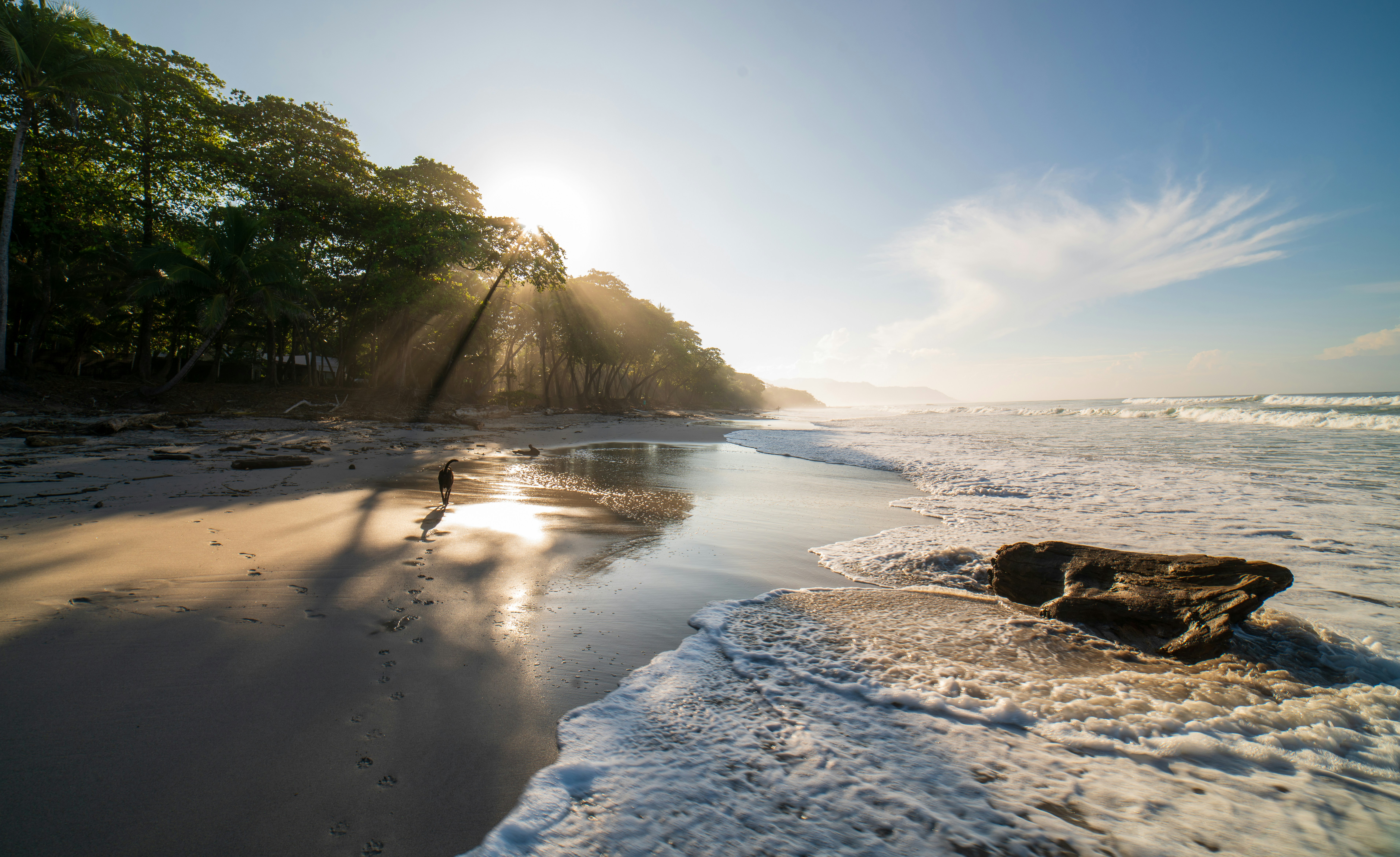 Experience Real Costa Rica